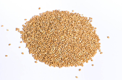 Proso červené 1kg