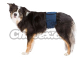 Trixie Břišní pás na podložky pro psa samce S-M 37-45cm tmavě modrý