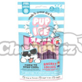 Pochoutka Pup Ice chladící s jahodou a borůvkou 2ks 90g