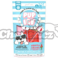 Pochoutka Pup Ice chladící s vodním melounem 3ks 90g