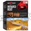 Žárovka ReptiPlanet Infrared Heat 75W