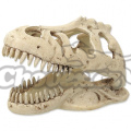 Dekorace REPTI PLANET T-REX lebka 13,3 cm