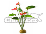 Rostlina EXO TERRA Anthurium Bush 30cm