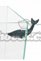 ZOLUX akvarijní dekorace magnetický žralok