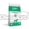 Calibra VD Dog Renal&Cardiac 2kg
