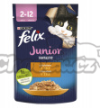 FELIX Fantastic kaps. Junior 85g kuře v želé