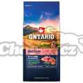 Ontario Adult Large Lamb & Brown Rice 12kg