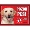 Cedulka samolepka-Pozor Pes-LABRADOR žlutý