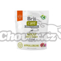 Brit Care Dog Hypoallergenic adult small lamb 1kg