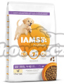 IAMS Dog Puppy Large Chicken 12kg
