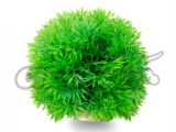 Akvarijní rostlina tráva koule zelená 8cm