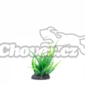 JK Akvarijní rostlina kapradí mini 13cm