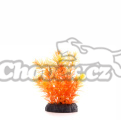 JK Rostlina akvarijní Ambulia oranžová kámen 14cm