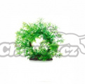 Akvarijní rostlina Ludwigia Ring pr. 16cm