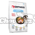 ONTARIO Kitten Salmon 2kg