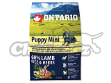 ONTARIO Puppy Mini Lamb & Rice 2,25kg