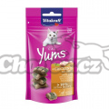 Vitakraft Cat Yums kuřecí s trávou 40g