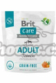 BRIT Care Grain-free Adult Salmon & Potato 1kg