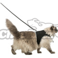 TRIXIE Postroj/vestička pro kočky černý 36-54cm s vodítkem 1,2m