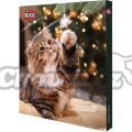 Kalendář TRIXIE adventní pro kočky PREMIO (1ks)