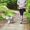 Trixie Pás na běh s nylonovým vodítkem pro malé a střední psy