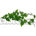 Lucky Reptile rostlina Jungle Vine cca 200cm