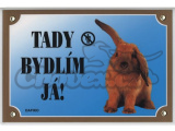 Cedulka králík