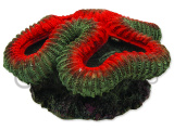 Dekorace korál mořský červeno-bílý 12x11,5x6cm
