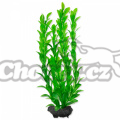 Akvarijní Rostlina TETRA Hygrophila M 23cm