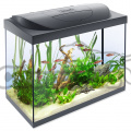 Akvárium set TETRA Starter Line LED 61 x 32 x 51 cm (80l)