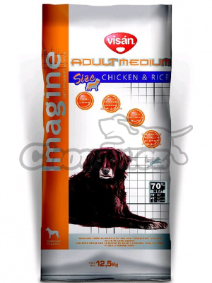 Obrázek (5794) Obrázek (5794)