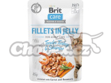 Brit Care cat kaps. adult tender turkey/shrimp 85g