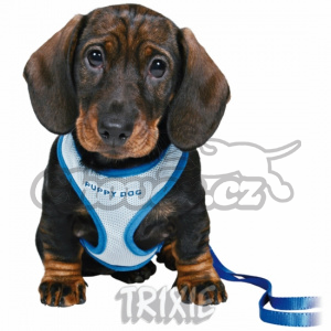 Obrázek (6834) Obrázek (6834)