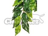 Rostlina EXO TERRA Ficus střední 45 cm
