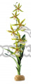 Rostlina EXO TERRA Spider Orchid 45cm