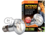 Žárovka Exo Terra Intense Basking Spot 75W