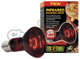 Žárovka Exo Terra Infrared Heat Glo (75W)